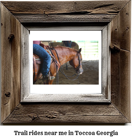 trail rides near me in Toccoa, Georgia